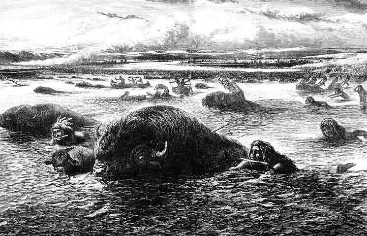 Indians Hunting Buffalo